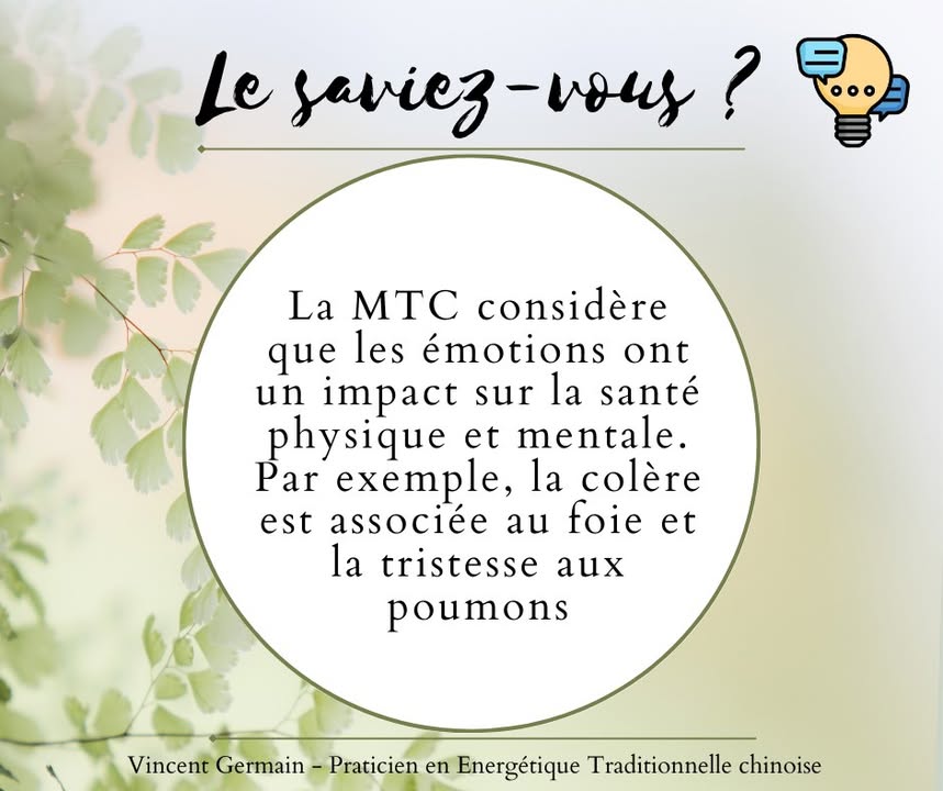 Vincent Germain - Praticien en Energétique Traditionnelle Chinoise