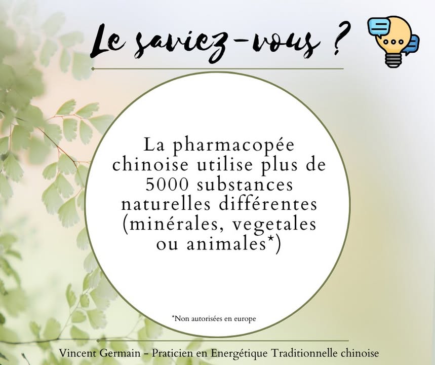 Vincent Germain - Praticien en Energétique Traditionnelle Chinoise